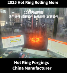 2025年再創(chuàng)未來 環(huán)形鍛件江蘇工廠