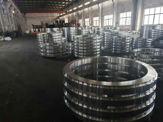 圓環(huán)鍛件鍛造加工廠 江蘇廠家